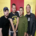 The Vandals 